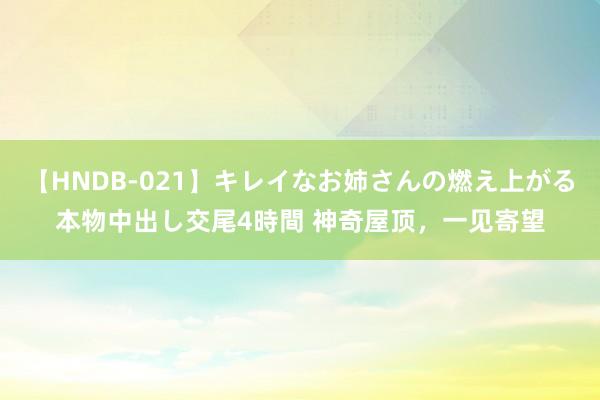 【HNDB-021】キレイなお姉さんの燃え上がる本物中出し交尾4時間 神奇屋顶，一见寄望