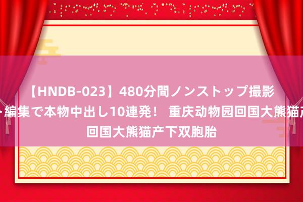 【HNDB-023】480分間ノンストップ撮影 ノーカット編集で本物中出し10連発！ 重庆动物园回国大熊猫产下双胞胎