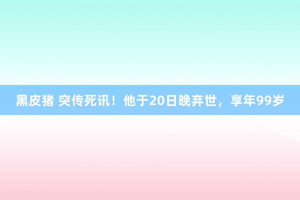 黑皮猪 突传死讯！他于20日晚弃世，享年99岁