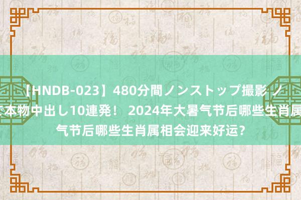 【HNDB-023】480分間ノンストップ撮影 ノーカット編集で本物中出し10連発！ 2024年大暑气节后哪些生肖属相会迎来好运？