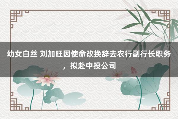 幼女白丝 刘加旺因使命改换辞去农行副行长职务，拟赴中投公司