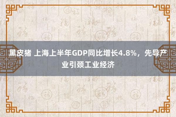 黑皮猪 上海上半年GDP同比增长4.8%，先导产业引颈工业经济