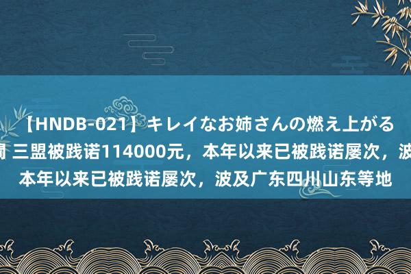 【HNDB-021】キレイなお姉さんの燃え上がる本物中出し交尾4時間 三盟被践诺114000元，本年以来已被践诺屡次，波及广东四川山东等地