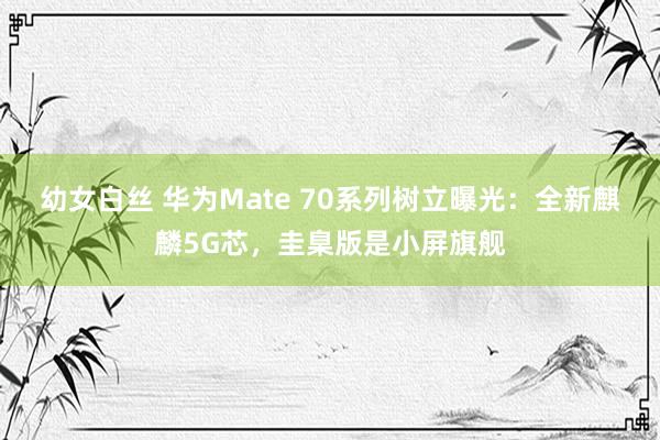 幼女白丝 华为Mate 70系列树立曝光：全新麒麟5G芯，圭臬版是小屏旗舰