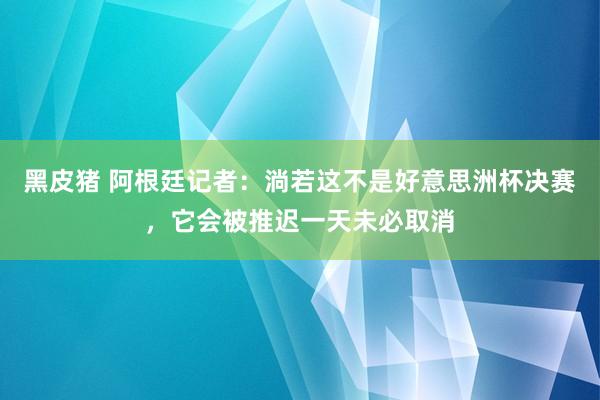 黑皮猪 阿根廷记者：淌若这不是好意思洲杯决赛，它会被推迟一天未必取消