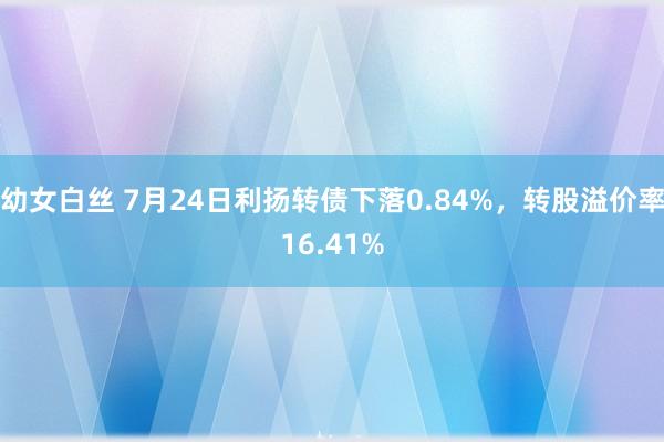 幼女白丝 7月24日利扬转债下落0.84%，转股溢价率16.41%