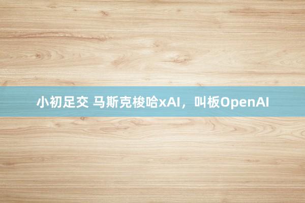 小初足交 马斯克梭哈xAI，叫板OpenAI