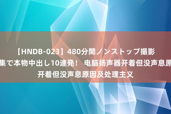 【HNDB-023】480分間ノンストップ撮影 ノーカット編集で本物中出し10連発！ 电脑扬声器开着但没声息原因及处理主义