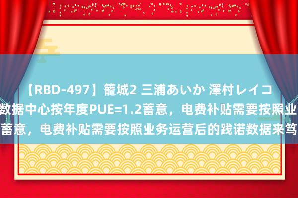 【RBD-497】籠城2 三浦あいか 澤村レイコ ASUKA 宁夏建材：公司数据中心按年度PUE=1.2蓄意，电费补贴需要按照业务运营后的践诺数据来笃定