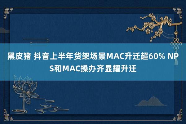 黑皮猪 抖音上半年货架场景MAC升迁超60% NPS和MAC操办齐显耀升迁