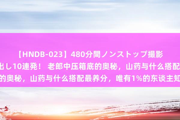 【HNDB-023】480分間ノンストップ撮影 ノーカット編集で本物中出し10連発！ 老郎中压箱底的奥秘，山药与什么搭配最养分，唯有1%的东谈主知谈