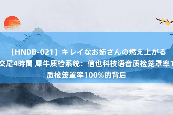 【HNDB-021】キレイなお姉さんの燃え上がる本物中出し交尾4時間 犀牛质检系统：信也科技语音质检笼罩率100%的背后