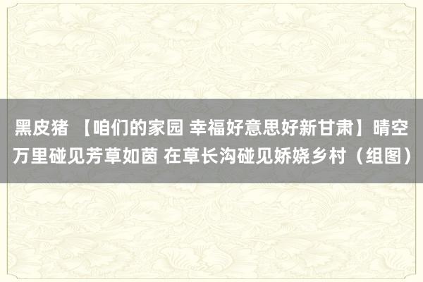 黑皮猪 【咱们的家园 幸福好意思好新甘肃】晴空万里碰见芳草如茵 在草长沟碰见娇娆乡村（组图）