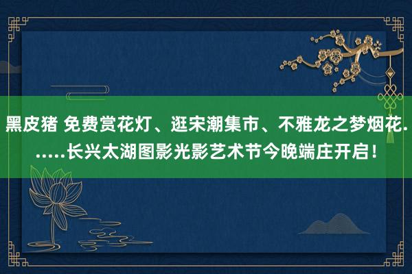 黑皮猪 免费赏花灯、逛宋潮集市、不雅龙之梦烟花......长兴太湖图影光影艺术节今晚端庄开启！