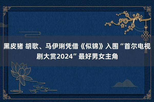 黑皮猪 胡歌、马伊琍凭借《似锦》入围“首尔电视剧大赏2024”最好男女主角