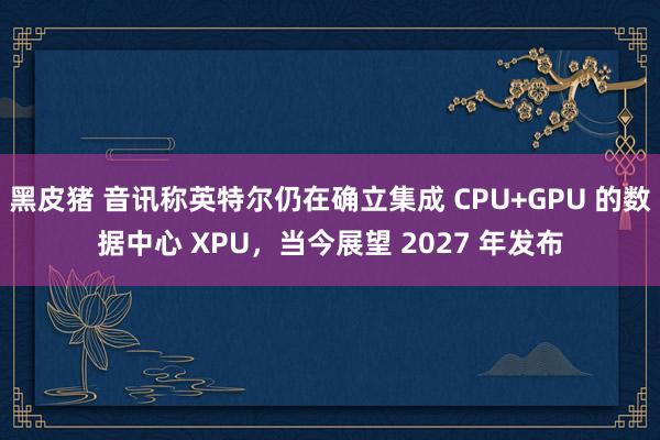 黑皮猪 音讯称英特尔仍在确立集成 CPU+GPU 的数据中心 XPU，当今展望 2027 年发布