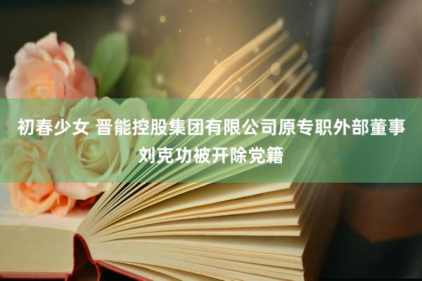 初春少女 晋能控股集团有限公司原专职外部董事刘克功被开除党籍