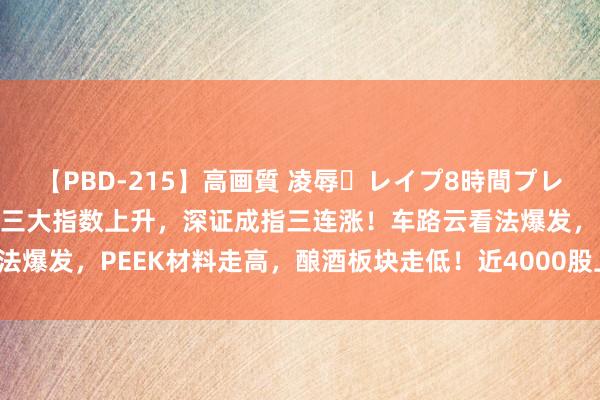 【PBD-215】高画質 凌辱・レイプ8時間プレミアムBEST A股收评：三大指数上升，深证成指三连涨！车路云看法爆发，PEEK材料走高，酿酒板块走低！近4000股上升，成交7370亿