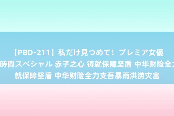 【PBD-211】私だけ見つめて！プレミア女優と主観でセックス8時間スペシャル 赤子之心 铸就保障坚盾 中华财险全力支吾暴雨洪涝灾害