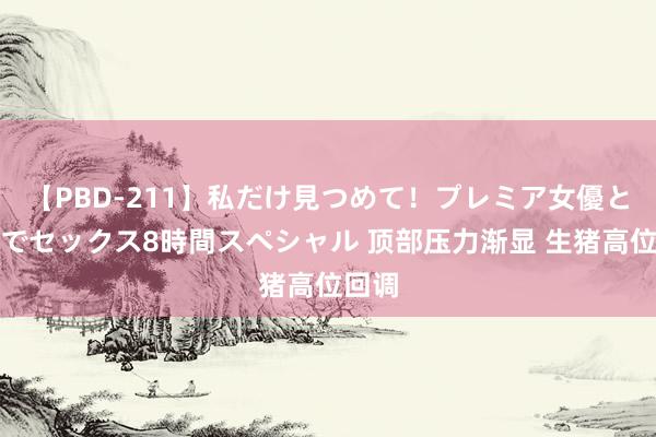 【PBD-211】私だけ見つめて！プレミア女優と主観でセックス8時間スペシャル 顶部压力渐显 生猪高位回调