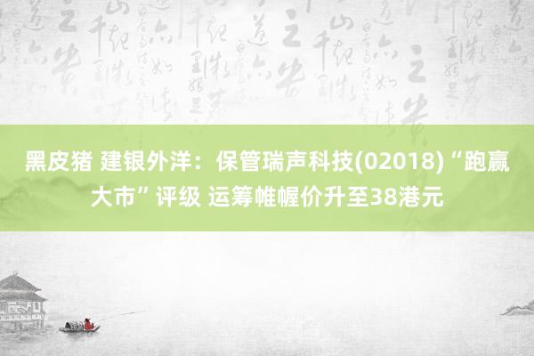 黑皮猪 建银外洋：保管瑞声科技(02018)“跑赢大市”评级 运筹帷幄价升至38港元