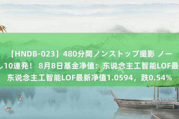 【HNDB-023】480分間ノンストップ撮影 ノーカット編集で本物中出し10連発！ 8月8日基金净值：东说念主工智能LOF最新净值1.0594，跌0.54%