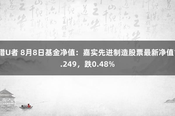 猎U者 8月8日基金净值：嘉实先进制造股票最新净值1.249，跌0.48%