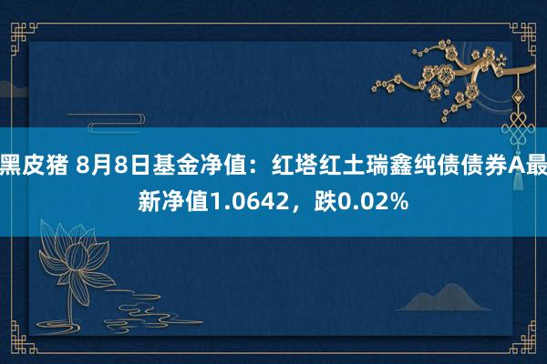 黑皮猪 8月8日基金净值：红塔红土瑞鑫纯债债券A最新净值1.0642，跌0.02%