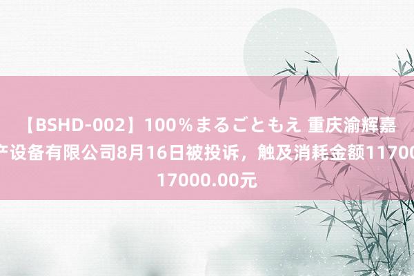 【BSHD-002】100％まるごともえ 重庆渝辉嘉景房地产设备有限公司8月16日被投诉，触及消耗金额117000.00元