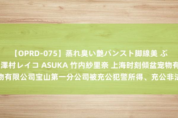 【OPRD-075】蒸れ臭い艶パンスト脚線美 ぶっかけゴックン大乱交 澤村レイコ ASUKA 竹内紗里奈 上海时刻倾盆宠物有限公司宝山第一分公司被充公犯警所得、充公非法财物所有这个词5.56万元