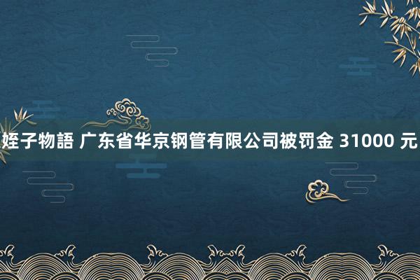 姪子物語 广东省华京钢管有限公司被罚金 31000 元