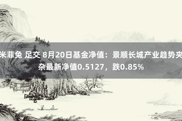 米菲兔 足交 8月20日基金净值：景顺长城产业趋势夹杂最新净值0.5127，跌0.85%