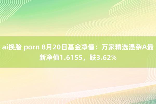 ai换脸 porn 8月20日基金净值：万家精选混杂A最新净值1.6155，跌3.62%