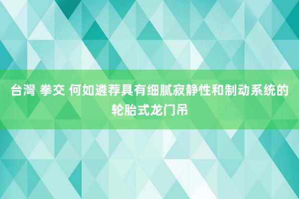 台灣 拳交 何如遴荐具有细腻寂静性和制动系统的轮胎式龙门吊