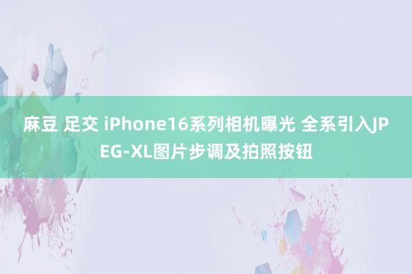 麻豆 足交 iPhone16系列相机曝光 全系引入JPEG-XL图片步调及拍照按钮