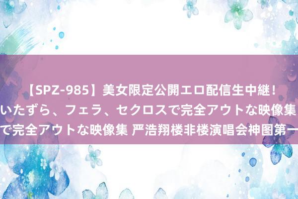 【SPZ-985】美女限定公開エロ配信生中継！素人娘、カップルたちがいたずら、フェラ、セクロスで完全アウトな映像集 严浩翔楼非楼演唱会神图第一弹