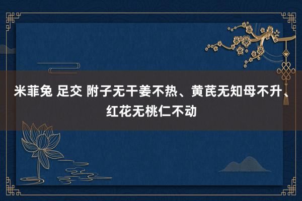 米菲兔 足交 附子无干姜不热、黄芪无知母不升、红花无桃仁不动