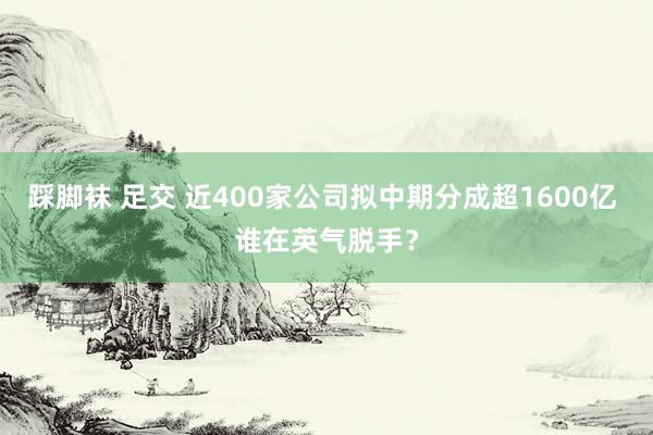 踩脚袜 足交 近400家公司拟中期分成超1600亿 谁在英气脱手？