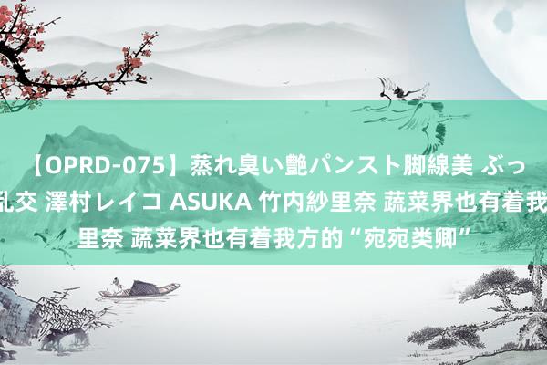 【OPRD-075】蒸れ臭い艶パンスト脚線美 ぶっかけゴックン大乱交 澤村レイコ ASUKA 竹内紗里奈 蔬菜界也有着我方的“宛宛类卿”