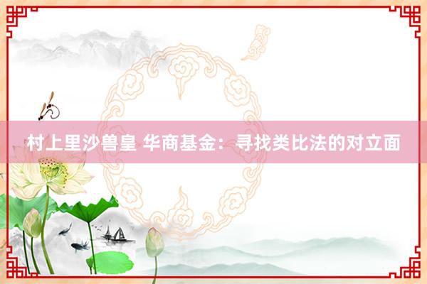 村上里沙兽皇 华商基金：寻找类比法的对立面