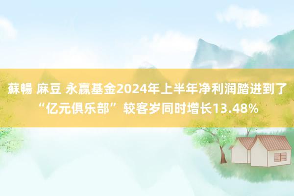 蘇暢 麻豆 永赢基金2024年上半年净利润踏进到了“亿元俱乐部” 较客岁同时增长13.48%