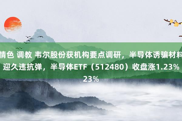 情色 调教 韦尔股份获机构要点调研，半导体诱骗材料迎久违抗弹，半导体ETF（512480）收盘涨1.23%