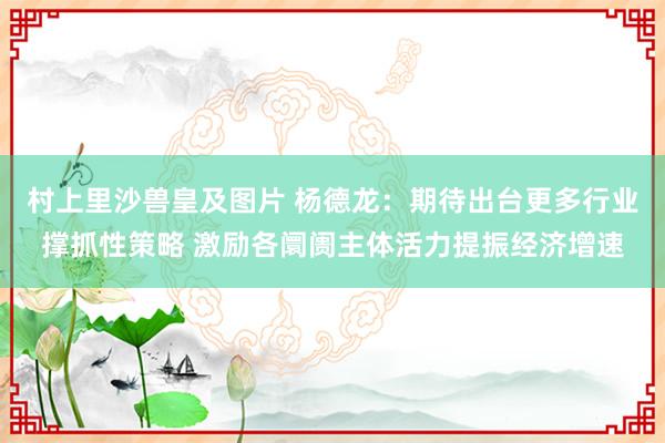 村上里沙兽皇及图片 杨德龙：期待出台更多行业撑抓性策略 激励各阛阓主体活力提振经济增速