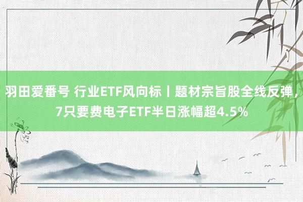 羽田爱番号 行业ETF风向标丨题材宗旨股全线反弹，7只要费电子ETF半日涨幅超4.5%