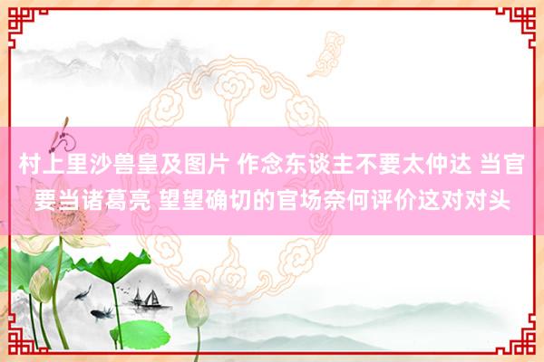 村上里沙兽皇及图片 作念东谈主不要太仲达 当官要当诸葛亮 望望确切的官场奈何评价这对对头