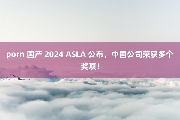 porn 国产 2024 ASLA 公布，中国公司荣获多个奖项！