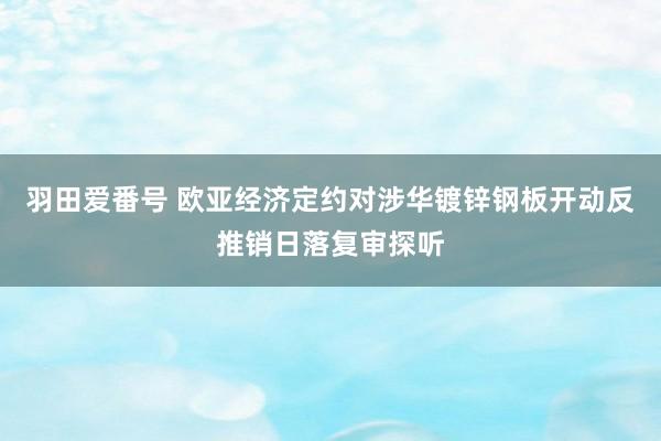 羽田爱番号 欧亚经济定约对涉华镀锌钢板开动反推销日落复审探听