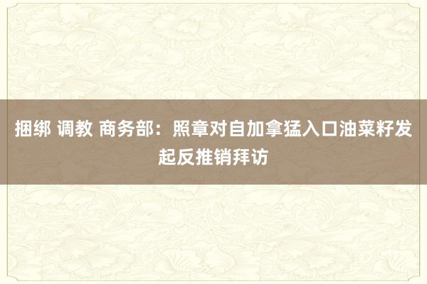 捆绑 调教 商务部：照章对自加拿猛入口油菜籽发起反推销拜访