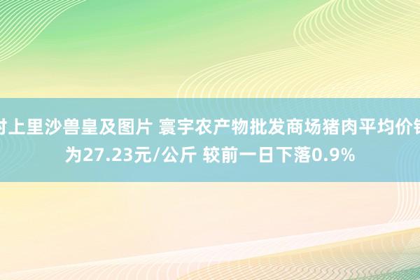 村上里沙兽皇及图片 寰宇农产物批发商场猪肉平均价钱为27.23元/公斤 较前一日下落0.9%