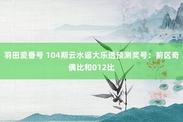 羽田爱番号 104期云水谣大乐透预测奖号：前区奇偶比和012比